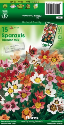 Zomerbollen en vaste planten Diverse soorten Zigeunerbloem Sparaxis per 15 Zigeunerbloem Sparaxis per 15 (a6321) Zomerbollen en vaste planten Diverse soorten Zigeunerbloem Sparaxis per 15 Zigeunerbloem Sparaxis per 15 (a6321)